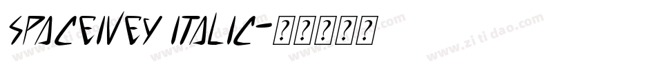 SpaceIvey Italic字体转换